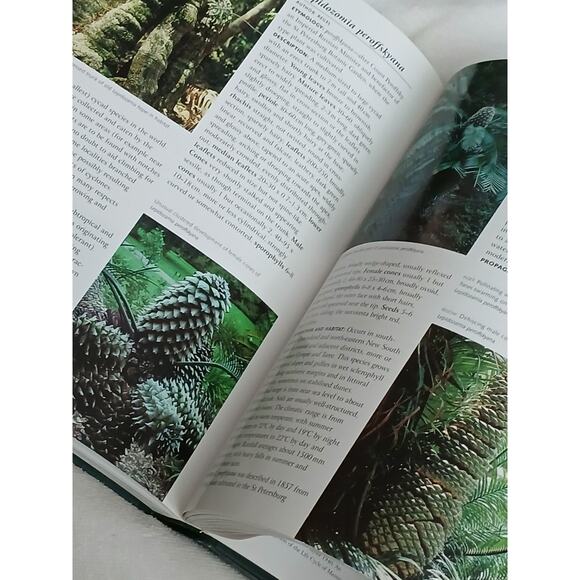 Cycads of the World Ancient Plants in Today's Landscape David Jones Hardcover - Picture 16 of 16